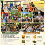 Kinh nghiệm đi tour một ngày ở Cồn Thới Sơn – Cồn Phụng Bến Tre