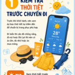 Kiểm tra thời tiết trước chuyến đi