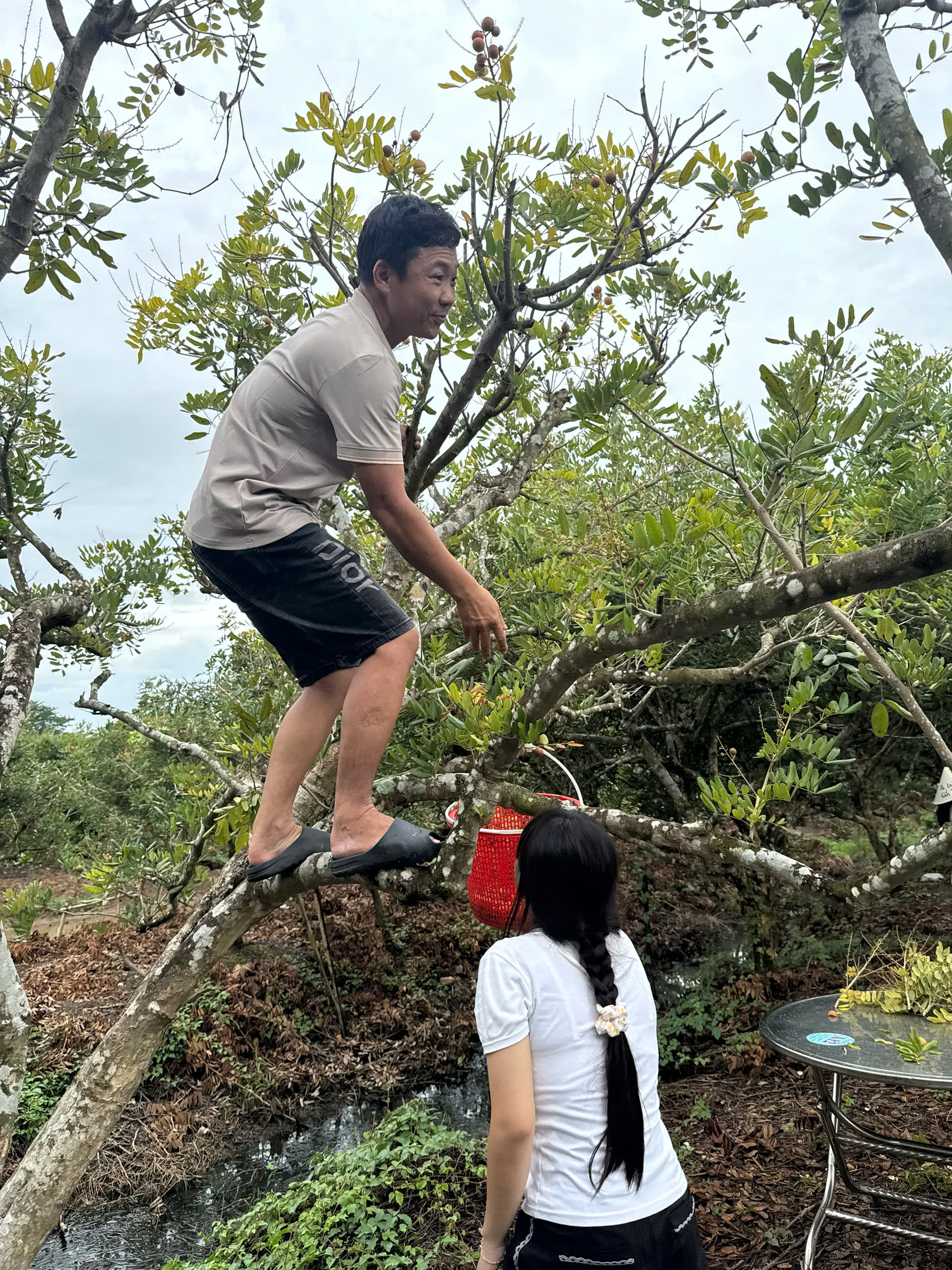 Trải nghiệm hái trái cây tại vườn cùng nhóm bạn